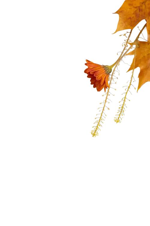 Efterårsblomst